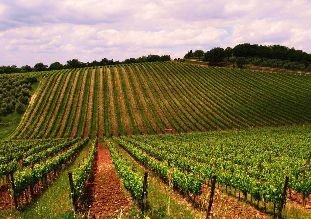 B&B Grano E Lavanda Greve in Chianti Bagian luar foto